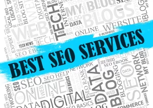 Grow Business with Professional SEO