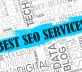 Grow Business with Professional SEO