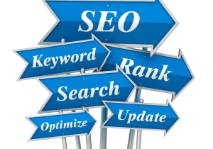 Why Americans Choose Indian SEO